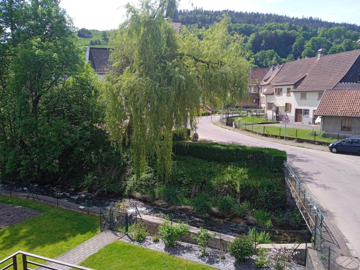Le Gite Des Kritter Stosswihr Екстериор снимка