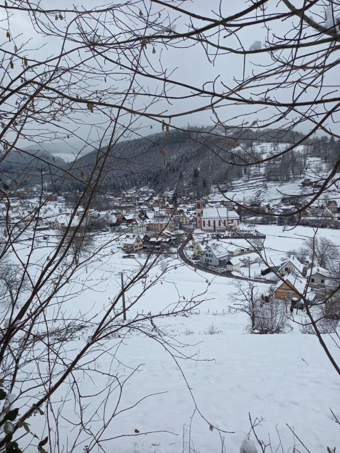 Le Gite Des Kritter Stosswihr Екстериор снимка